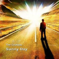 Sunny Day (feat. The Cookies)