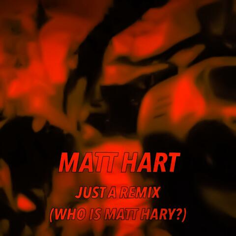 JUST A REMIX