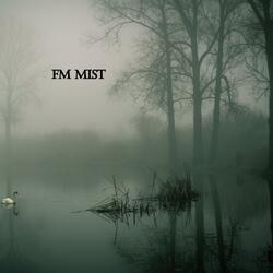 FM Mist