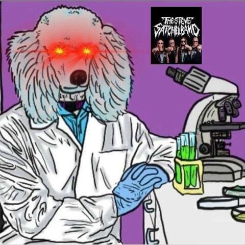 Poodle Science