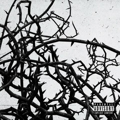 Thorns