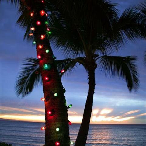 Orange County Christmas