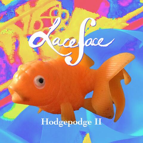 Hodgepodge II