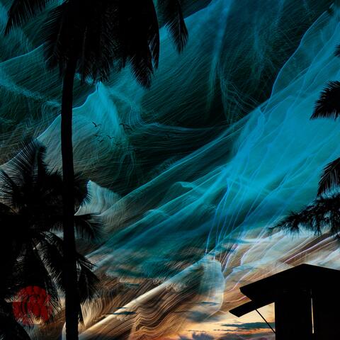 Ocean Boulevard.