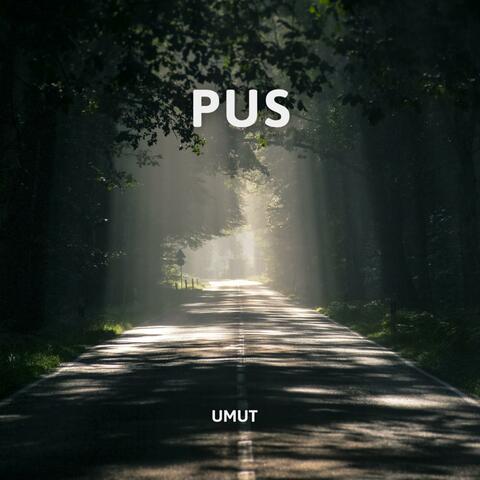 Umut