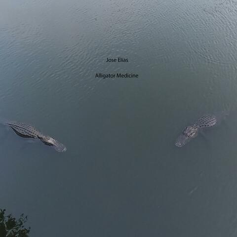 Alligator Medicine