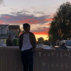 Tropical Nights