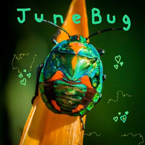 June Bug