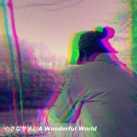 Little Shark // a Wonderful World