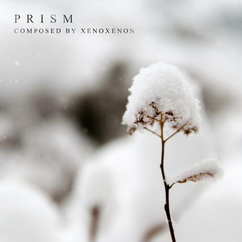 Prism