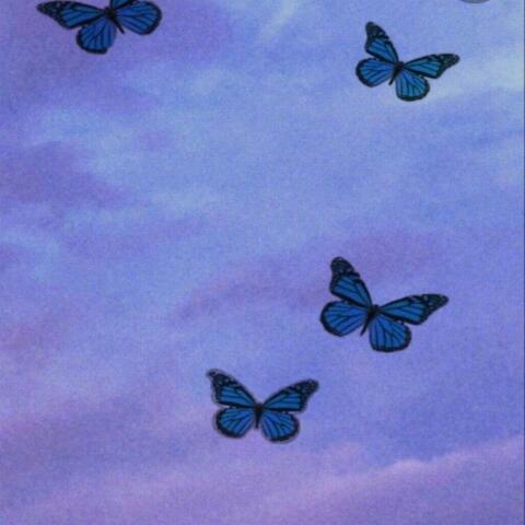 The Caged Butterfly