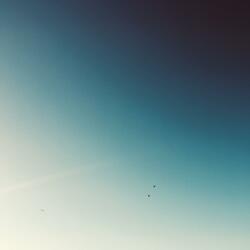 If I Could Fly