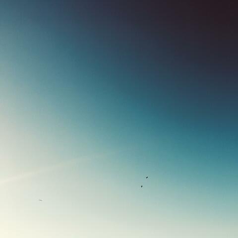 If I Could Fly