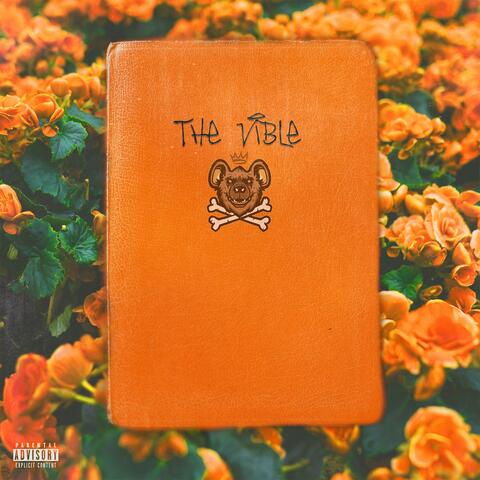 The Vible