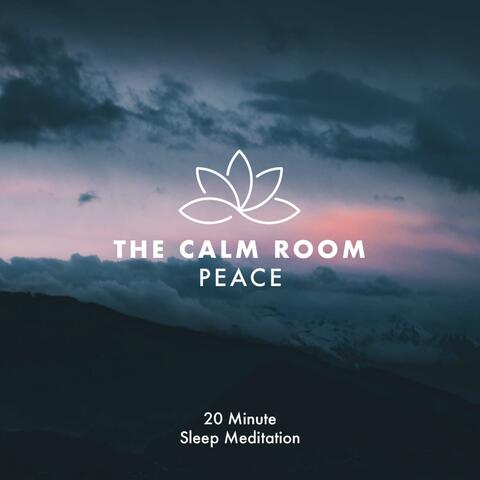 Peace (20 Minute Sleep Meditation for Anxiety)
