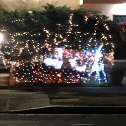 It's Christmas Time Again