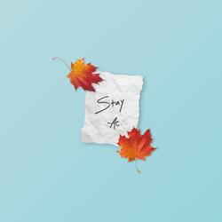 Stay