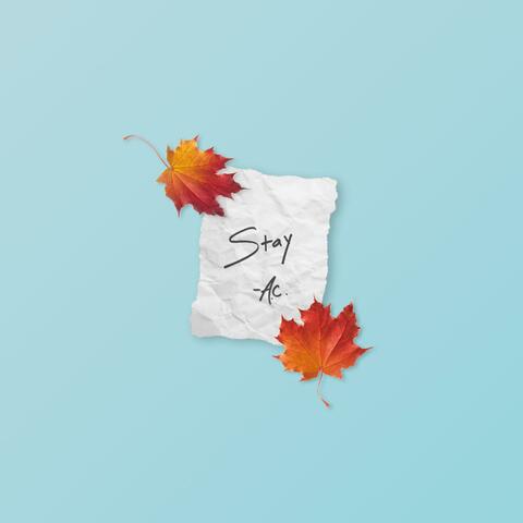 Stay