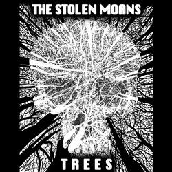 Trees V2