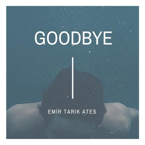 Goodbye