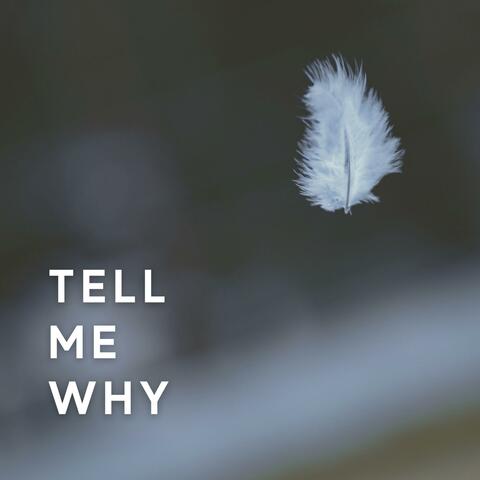 Tell Me Why