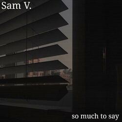 so much to say