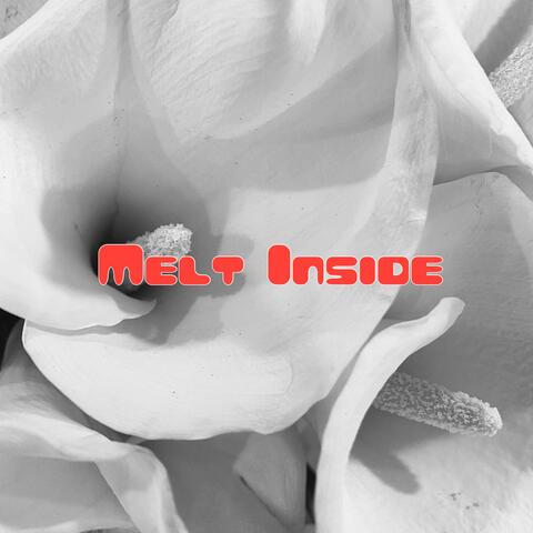 Melt Inside