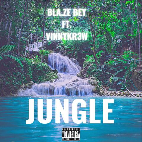 Jungle (feat. VINNYKR3W)