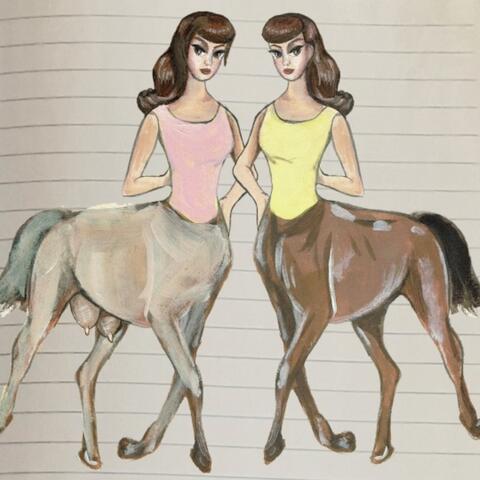 Horse Body