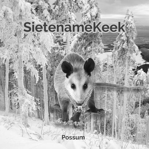 Possum