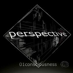 Perspective