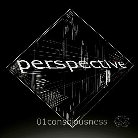 Perspective