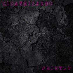 Cicatrizando Grietas