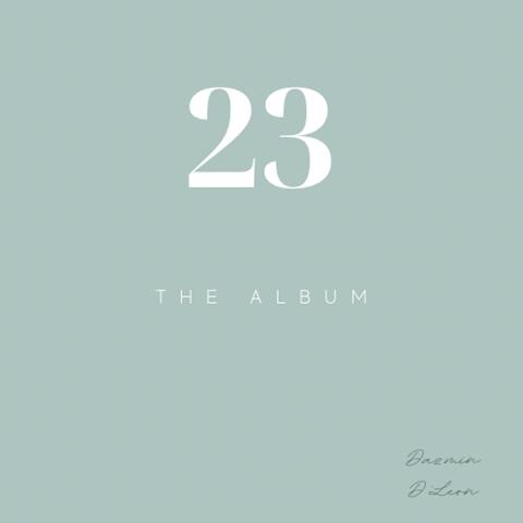 23