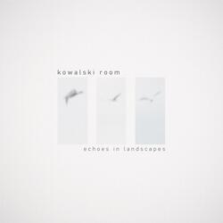 Echoes in Landscapes II
