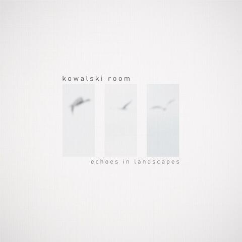 Echoes in Landscapes