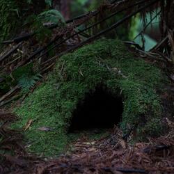 The great wolf is Fenrir