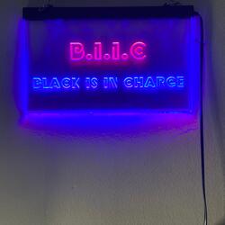 I'm Wit Da BIIC (feat. Bvg Dvke)