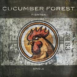 Fighter (feat. Honey-B-Sweet)