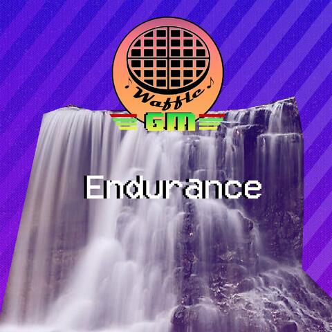 Endurance