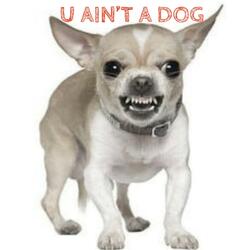 U AIN'T A DOG