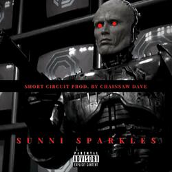 Short Circuit