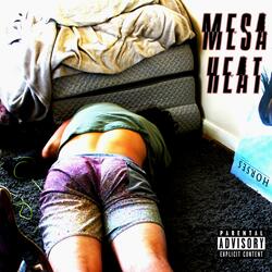 Mesa Heat