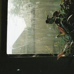Ambient 1