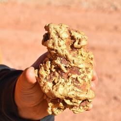 goldnugget