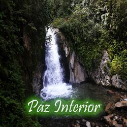 Paz Interior