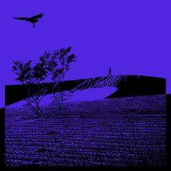 Vulture