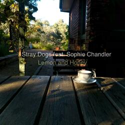 Lemon and Honey (feat. Sophie Chandler)