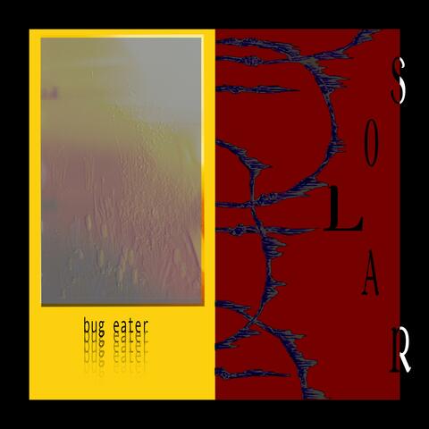 Solar / Cyber Life