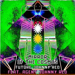 Mirror of the Cosmos